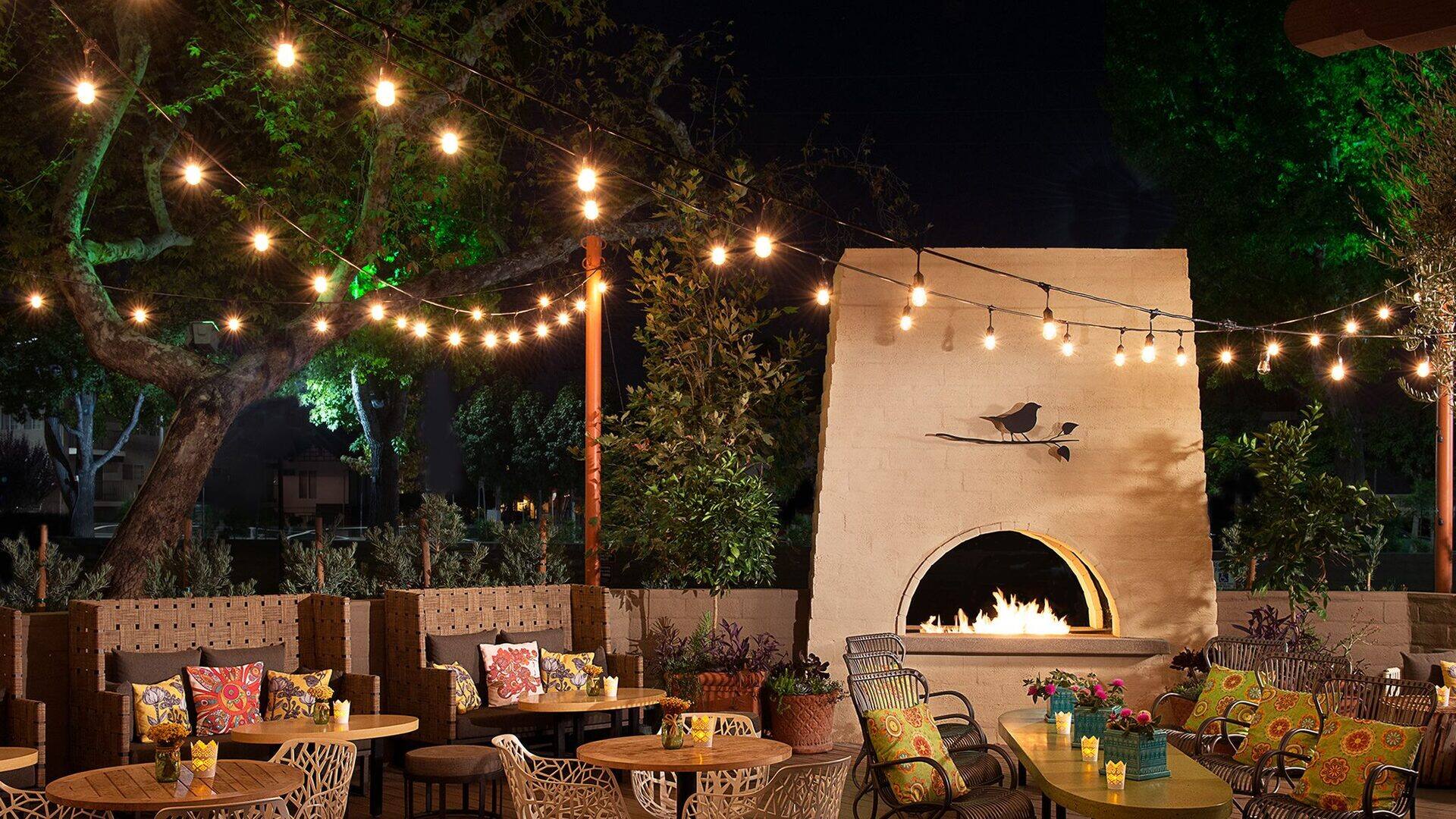 Domaine des Passes - Photo 2