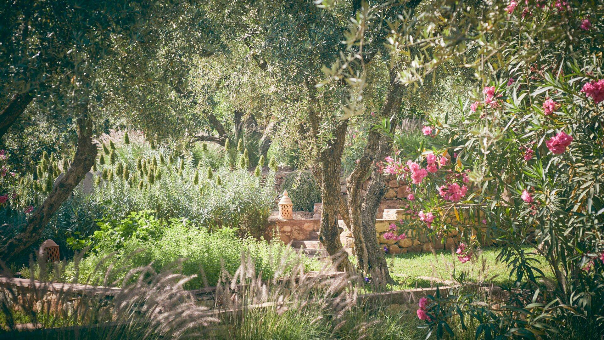 Villa des Oiseaux - Photo 8